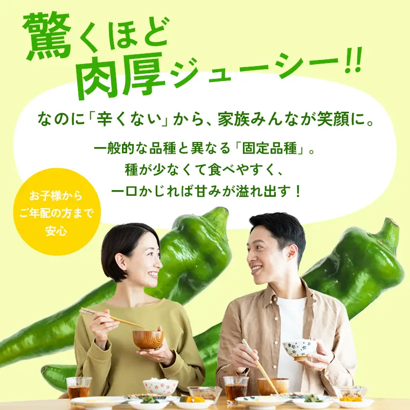 【定期便】 万願寺甘とう 秀品 600g×3回 