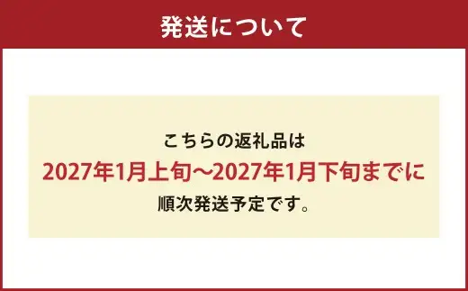 【佐賀みかん】佐賀県産温州みかん 約3kg みかん ミカン 蜜柑 温州みかん 完熟みかん 佐賀県 太良町 NB48 【2027年1月上旬～1月下旬発送予定】