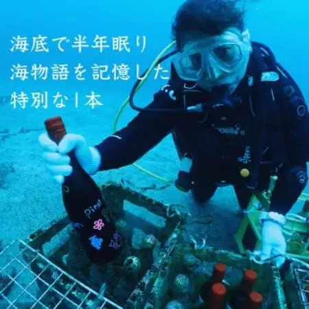 【ギフトセット】海底で熟成した日本酒 純米吟醸 2銘柄×各1本(300ml)【1754122】