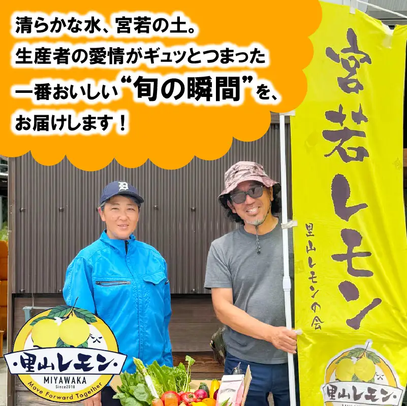 宮若産 旬の野菜詰め合わせ詰め合わせ 6〜8種セット [Ｍ1018] 季節 野菜 果物 詰め合わせ 九州 福岡 宮若市 ふるさと納税 おすすめ