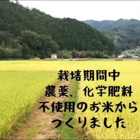 かきのき村のお米でつくった白米麺(6袋入り)【1753404】