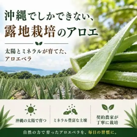 【有機JAS認証】琉球アロエパウチ 葉肉有り 1000ml×10袋【1737194】