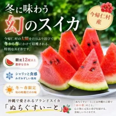 【2027年1月中旬より順次発送】冬に食べる幻のスイカ ぬちぐすいーと 1玉(4.5kg以上)【1744600】