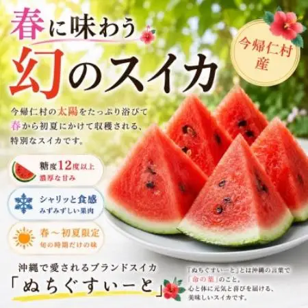 【2027年4月中旬より順次発送】春に食べる幻のスイカ ぬちぐすいーと 1玉(7.0kg以上)【1744601】