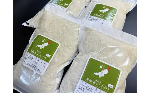 【新米受付・令和8年産米】新潟県村上市岩船産 コシヒカリ20kg（5kg×4袋）1099016N