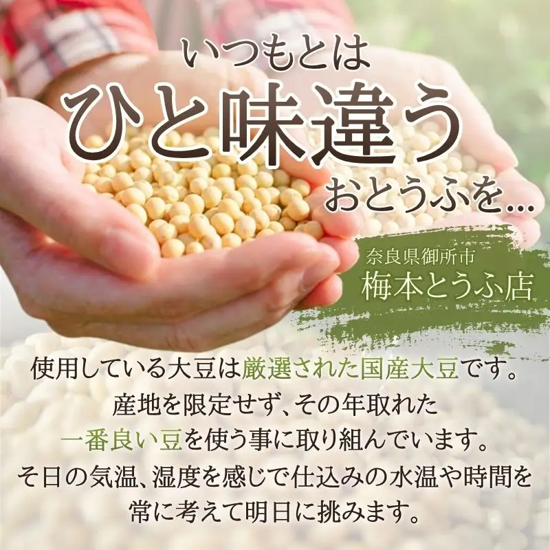 梅本とうふ店 こだわり 豆腐 セット （夏バージョン）【ummt0001】