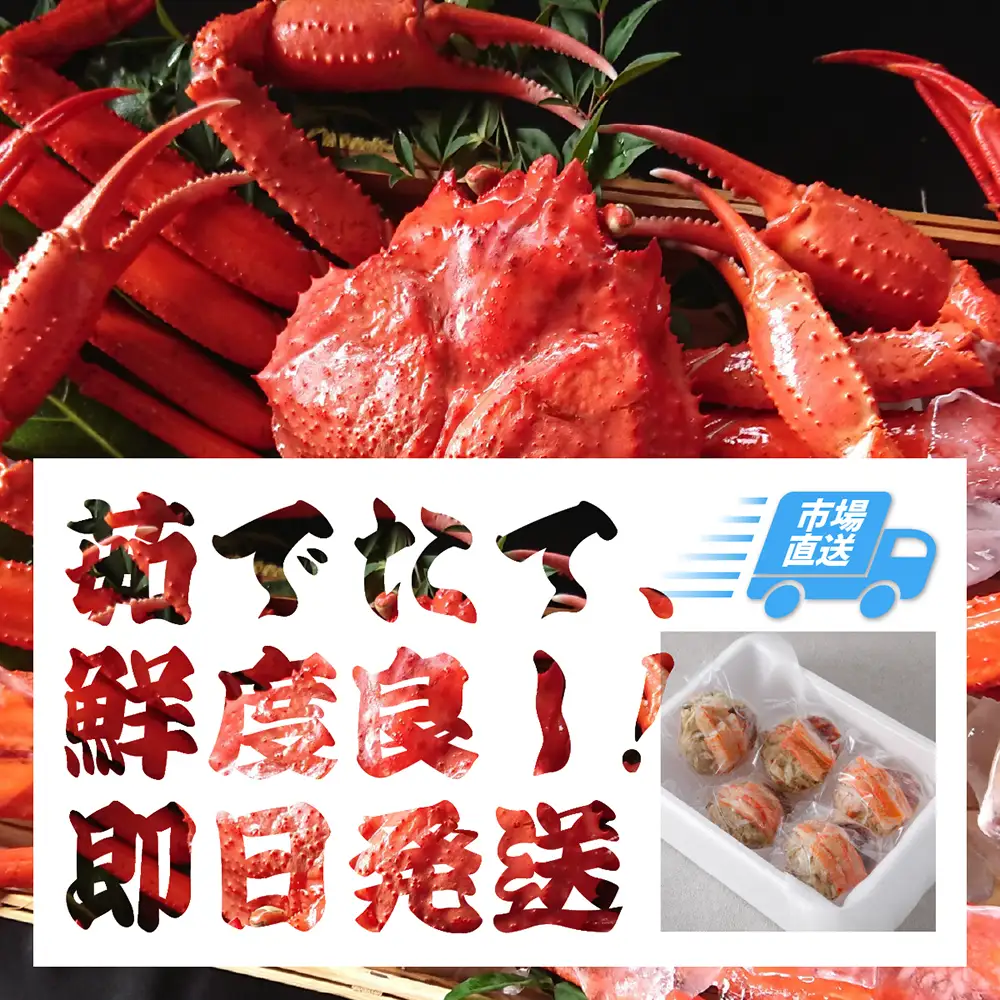 【2026年11月発送】特撰　松葉がに（茹）【ブランドタグ付き】1kg超の大きいサイズ　食べ応えあり　特大1杯【期間限定】_T2600467