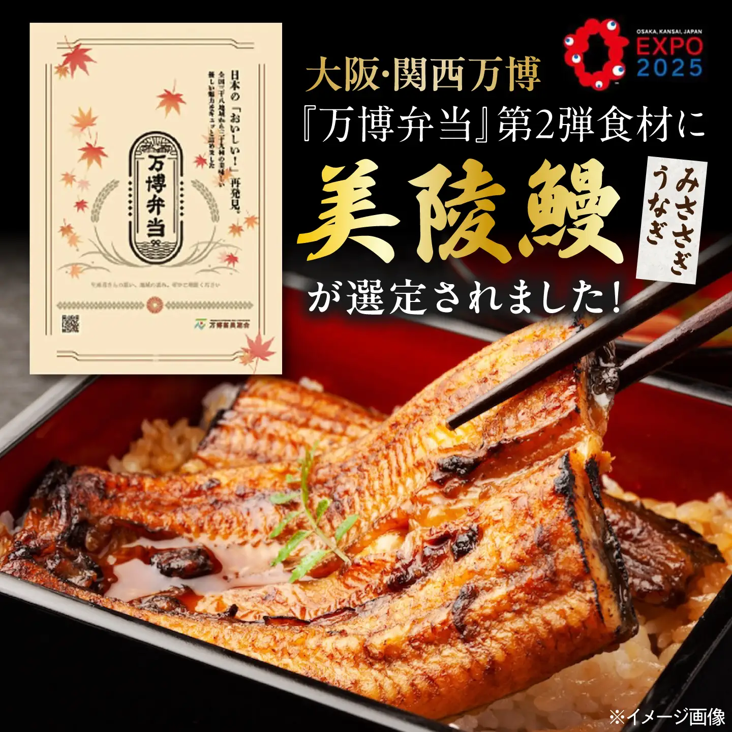 【全6回定期便】鰻 鰻の蒲焼5尾×白焼5尾 紅白セット / 美陵鰻 鰻 うなぎ ウナギ 蒲焼 蒲焼き かば焼き かばやき 白焼き 白焼 しろやき しらやき 特大 肉厚 うな重 うな丼 ひつまぶし 惣菜 おかず タレ 山椒 国産 土用 丑の日 ギフト/ 大阪府藤井寺市/Giverichホールディングス株式会社[BLAM041]