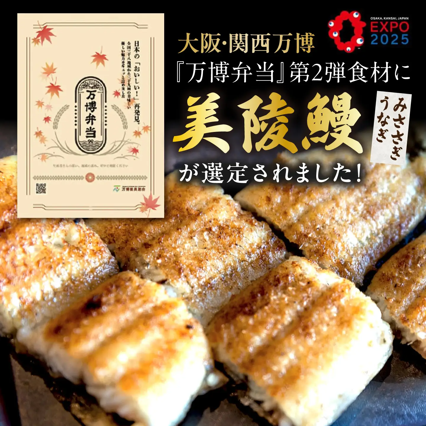【全12回定期便】鰻 鰻の白焼 2尾/ 美陵鰻 鰻 うなぎ ウナギ 蒲焼 蒲焼き かば焼き かばやき 白焼き 白焼 しろやき しらやき 特大 肉厚 うな重 うな丼 ひつまぶし 惣菜 おかず タレ 山椒 国産 土用 丑の日 ギフト / 大阪府藤井寺市/Giverichホールディングス株式会社[BLAM046]