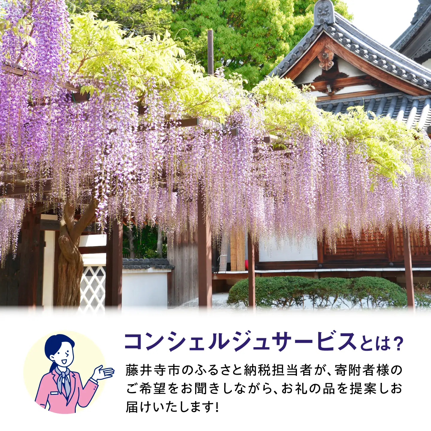 【藤井寺市コンシェルジュ】返礼品おまかせ！寄附額50万円コース 500000円 肉 牛肉 うなぎ 鰻 米 お米 お菓子 調理器具 フライパン グルメ 食品 お取り寄せ 詰め合わせ プレゼント 内祝い お返し ギフト グルメ 食品 お取り寄せ 高級[BLZZ014]