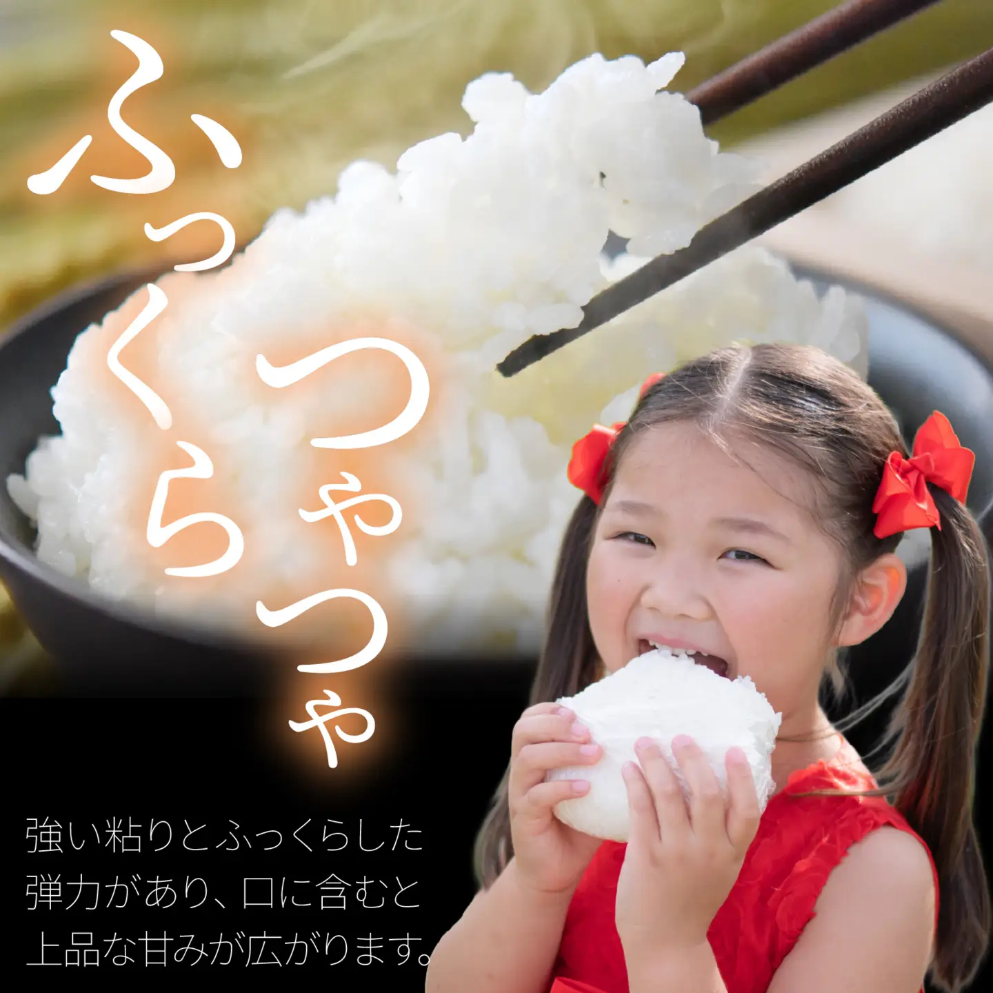 【令和7年産】にじのきらめき  白米 20kg  | お米 お米