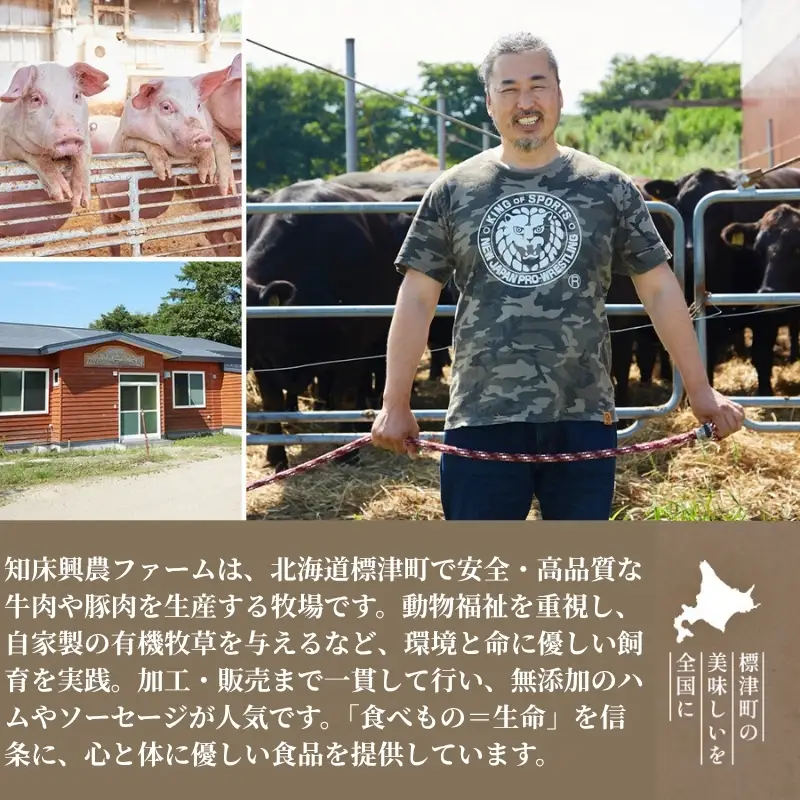 【訳アリ】 北海道産黒牛 やきにくセット 1kg（200g×5パック） 部位おまかせ やきにく［AC］