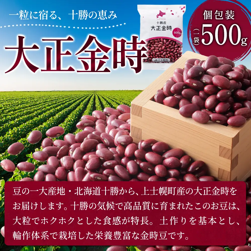 2025年産 十勝産 大正金時 計10kg（500g×20袋） 小分け 個包装 国産 北海道 JA上士幌町 穀物 豆 豆類 生豆 金時豆
