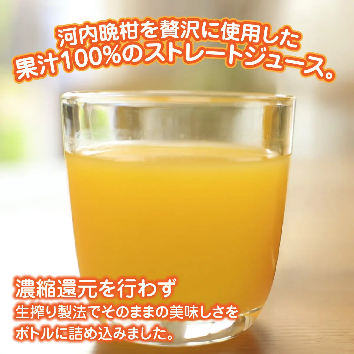 河内晩柑100%ジュース720ml×６【91-3】 YWTB004
