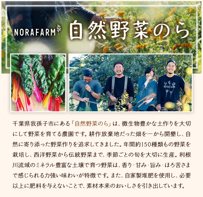 もち麦 玄もち麦 1kg 自然野菜のら