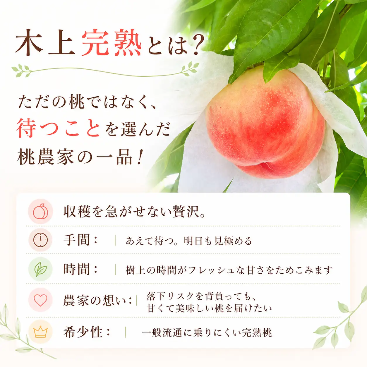 桃 約4㎏ 贈答用 完熟桃 桃 もも 香川県 丸亀市