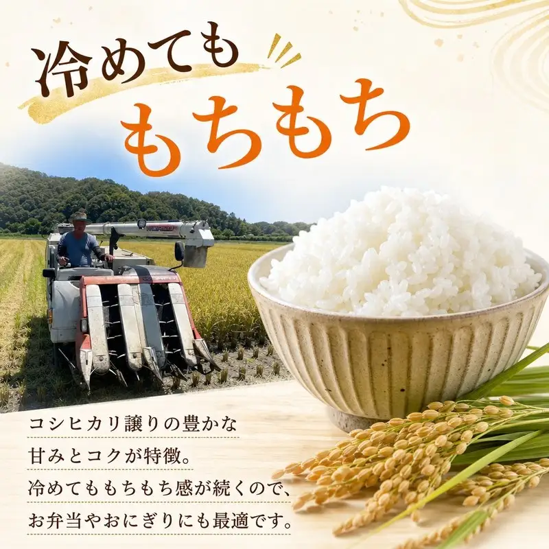 ひのひかり 白米 香米入り 10kg 2025年産［1122-5］