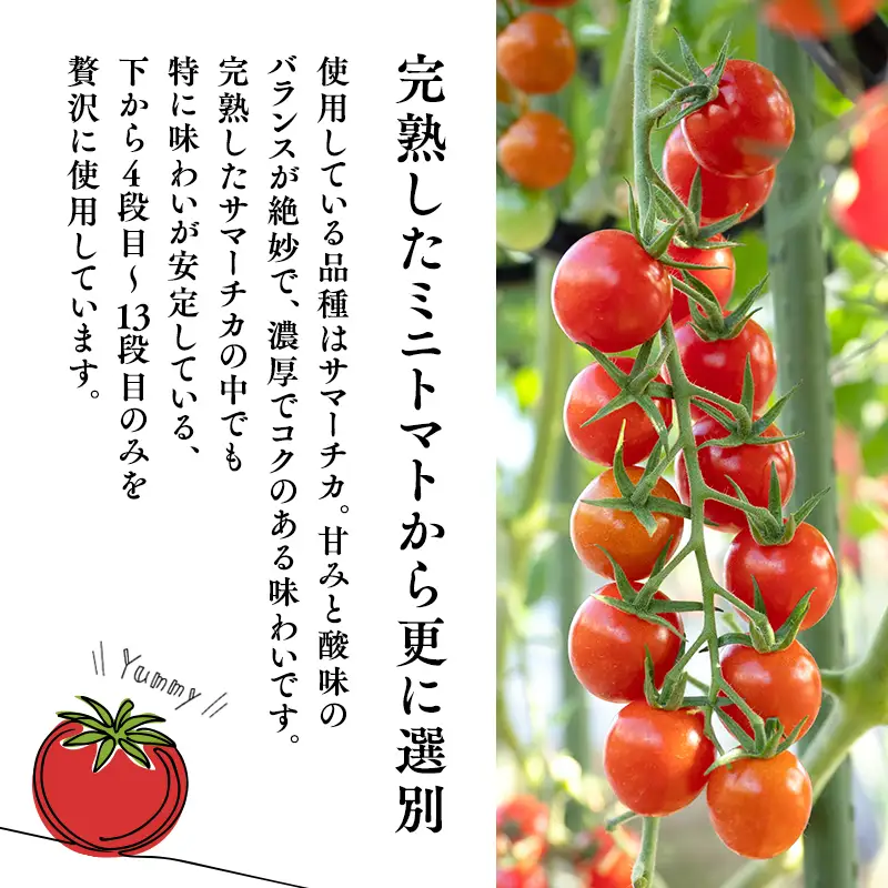 ミニトマトジュース 720ｍl  NOBLE 高品質