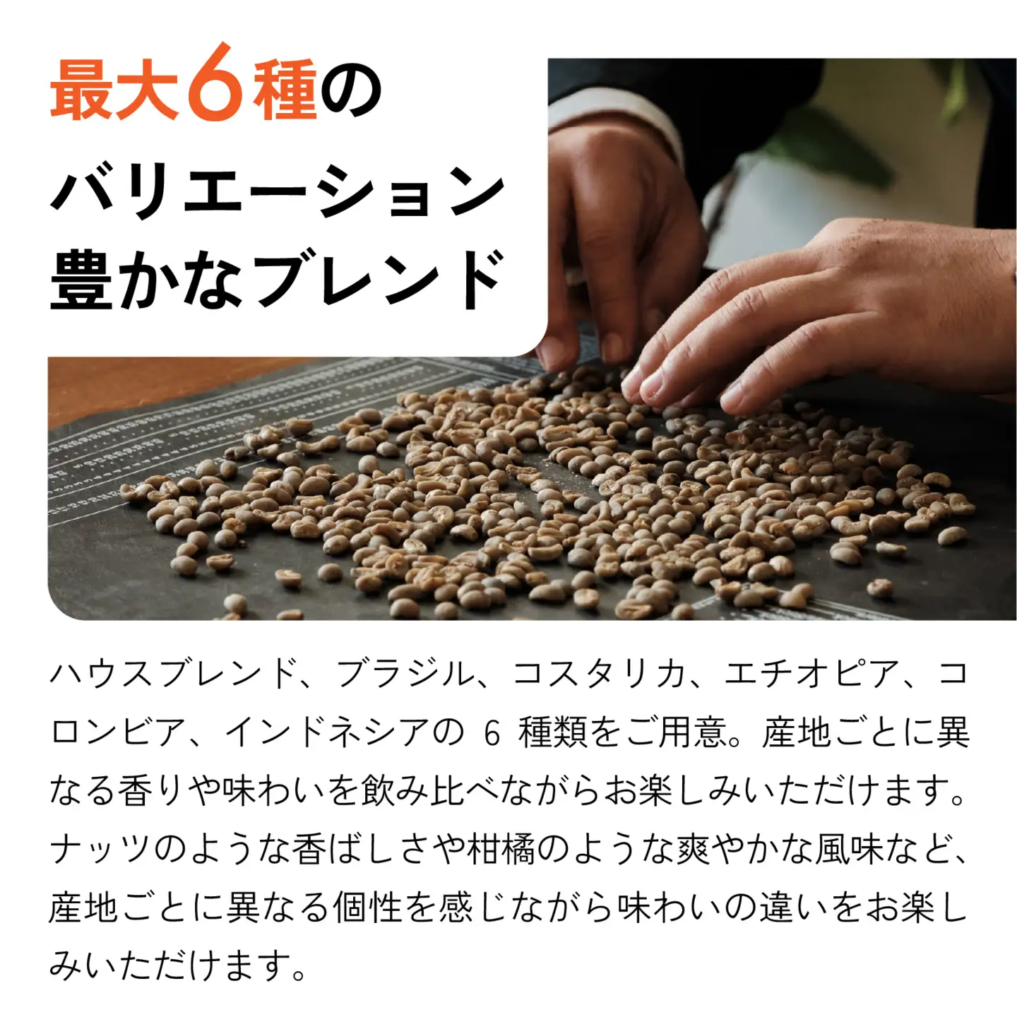 【神戸マイスター】 スペシャルティ コーヒー豆 （粉）70g×4種 セット 飲み比べ コーヒー