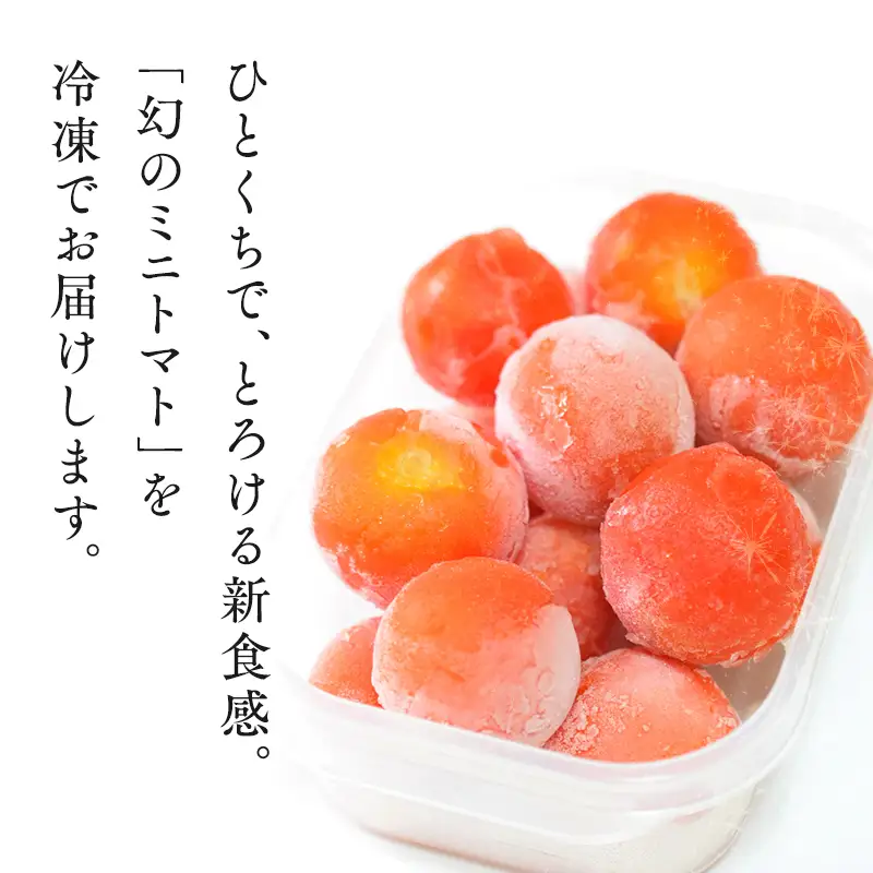  ミニトマト  冷凍プチぷよ 250ｇ×4袋【hi-0070-005】