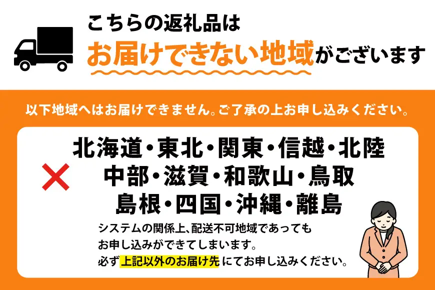 平戸産 いちご フルーツ 約260g 4パック 計約1040g