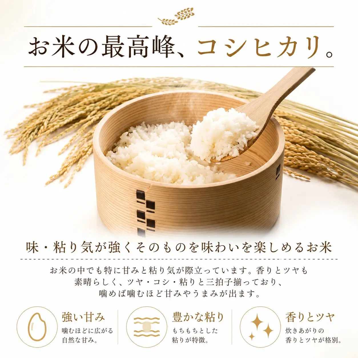 《先行予約》 玄米 令和8年産 コシヒカリ 30kg 玄米