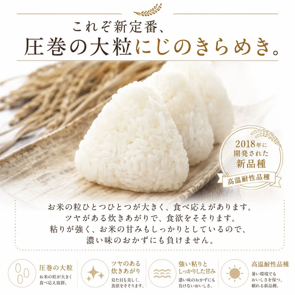 《先行予約》 玄米 令和8年産 にじのきらめき 30kg 玄米