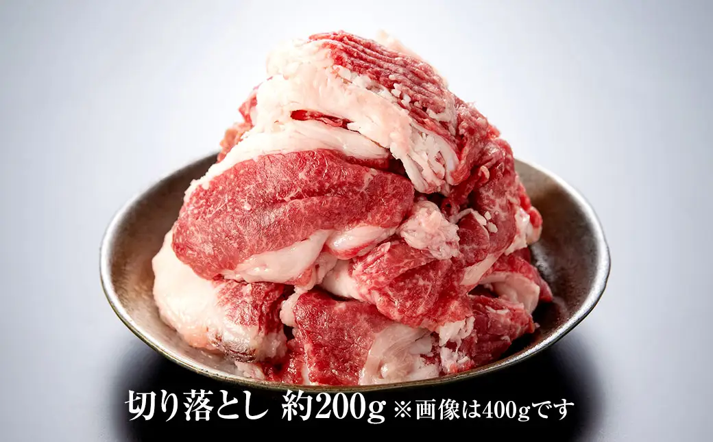 博多和牛 の 食べ比べ セット 450g （ 切り落とし 200g ＋ モモ ステーキ 250g ） 牛肉 牛 肉 お肉 和牛 国産 切落し 小分け 便利 取り寄せ 冷凍
