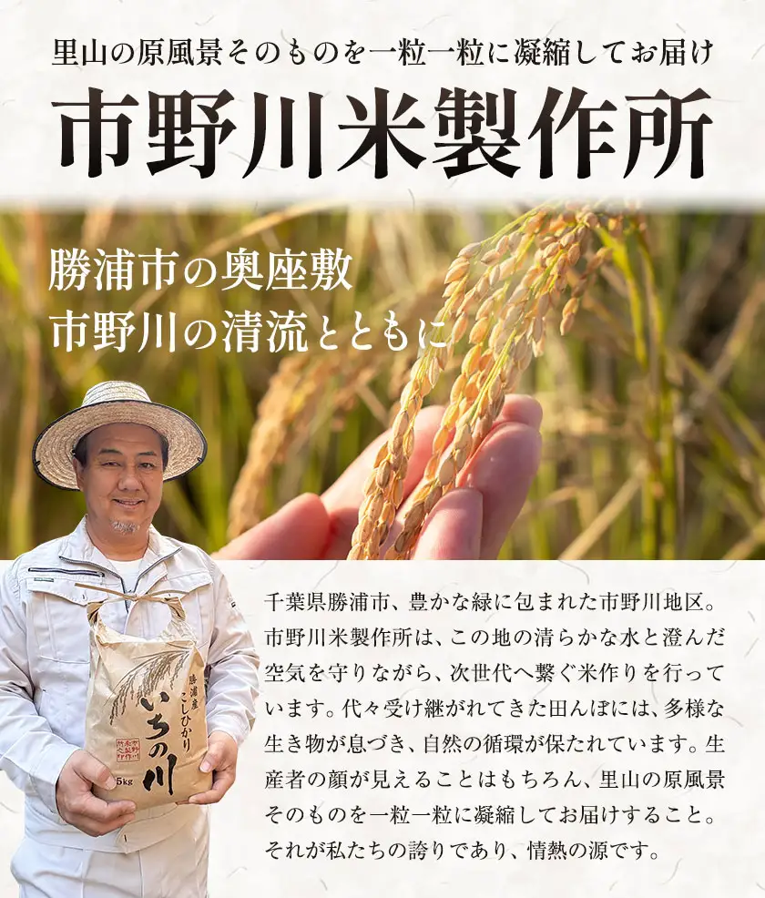 令和7年産 いちの川 コシヒカリ 白米 10kg 市野川米製作所
