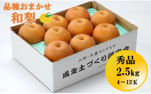 和梨 2.5kg 品種おまかせ 山形 梨
