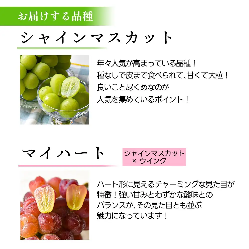 ぶどう シャインマスカット ＆ マイハート 約 1.2kg