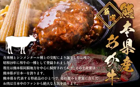 あか牛100%生ハンバーグ 12個  あか牛