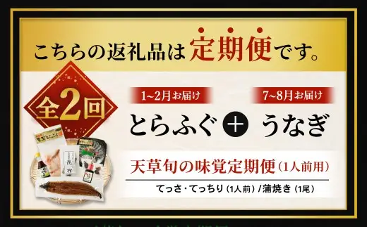 【 天草旬の味覚定期便 2回 （ 1人前用 ） 】 天草とらふぐセット＋天草藍うなぎ蒲焼セット （ 1尾 ） ／ 刺身 旨味 魚 魚類 お魚 旬 フグ ふぐ とらふぐ うなぎ ウナギ 鰻 上天草 定期配送 定期 定期便 贅沢 蒲焼 蒲焼き