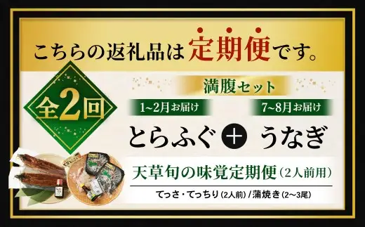 【 天草旬の味覚定期便 2回 （ 2人前用 ） 】 天草とらふぐてっさてっちり満腹セット＋天草藍うなぎ2～3尾セット ／ 刺身 魚 魚類 お魚 旬 フグ ふぐ とらふぐ うなぎ ウナギ 鰻 上天草 定期配送 定期 定期便 贅沢 旨味 蒲焼 蒲焼き