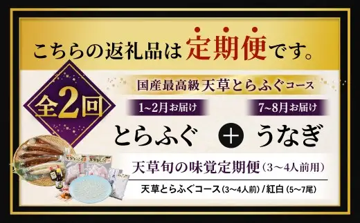 【 天草旬の味覚定期便 2回 （ 3 ～ 4人前用 ） 】 天草とらふぐコース＋天草藍うなぎ紅白5～7尾セット ／ 刺身 魚 魚類 お魚 旬 フグ ふぐ とらふぐ うなぎ ウナギ 鰻 上天草 定期配送 定期 定期便 贅沢 旨味 蒲焼 蒲焼き
