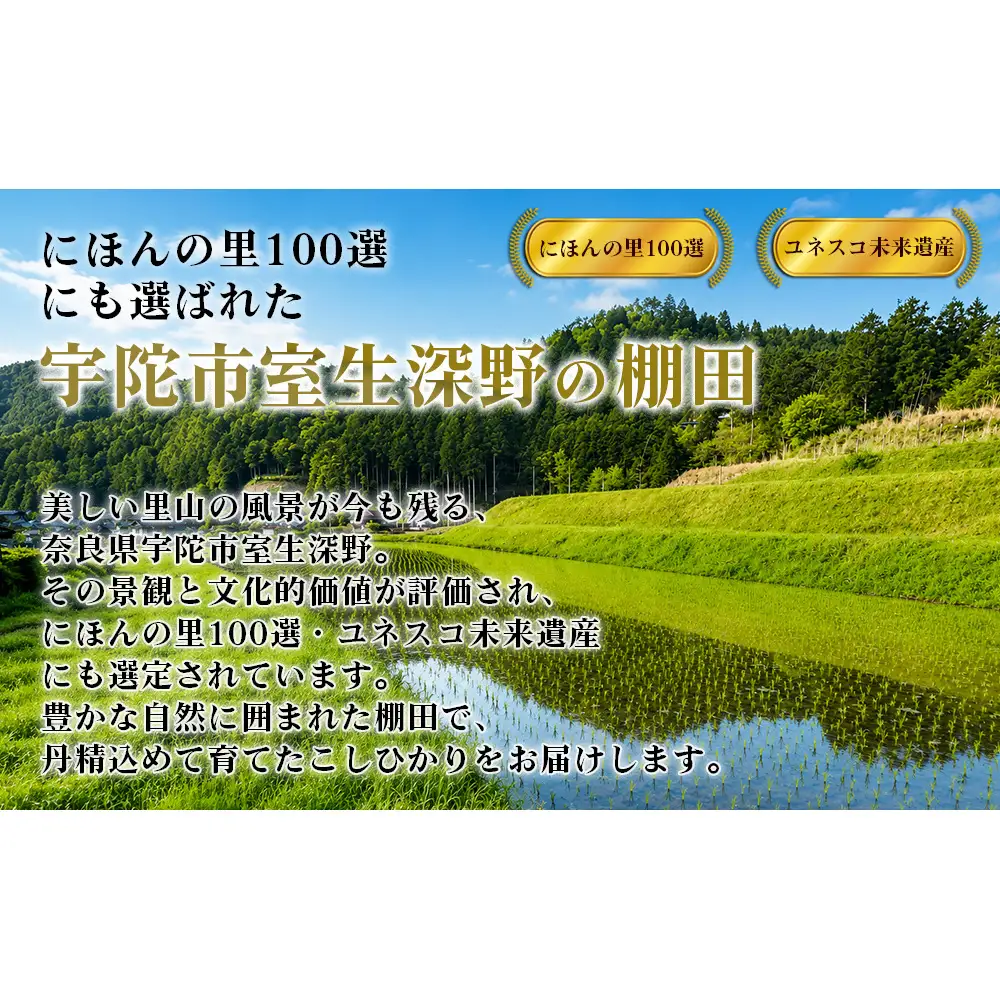 【先行予約】R8年度産 新米こしひかり白米4.5kg