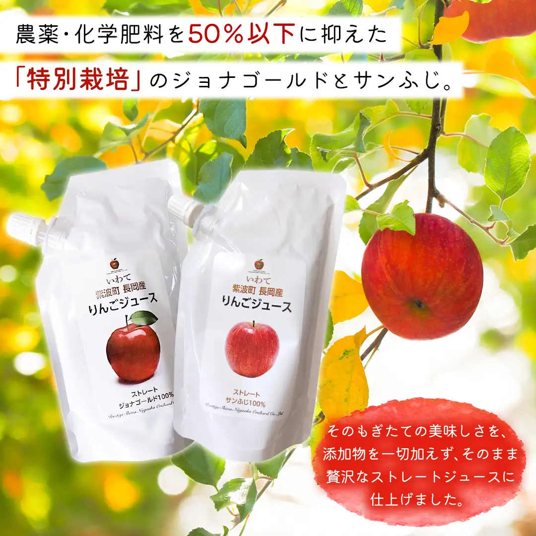 無添加 りんごジュース ストレート「ジョナゴールド・サンふじ」10個（200g×各5個）(FH006)