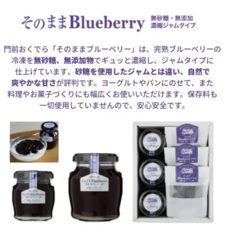 【贈答用】ブルーベリー ギフト 2種 詰め合わせセット 岩手県遠野市 門前おくでらブルーベリー園【1755562】