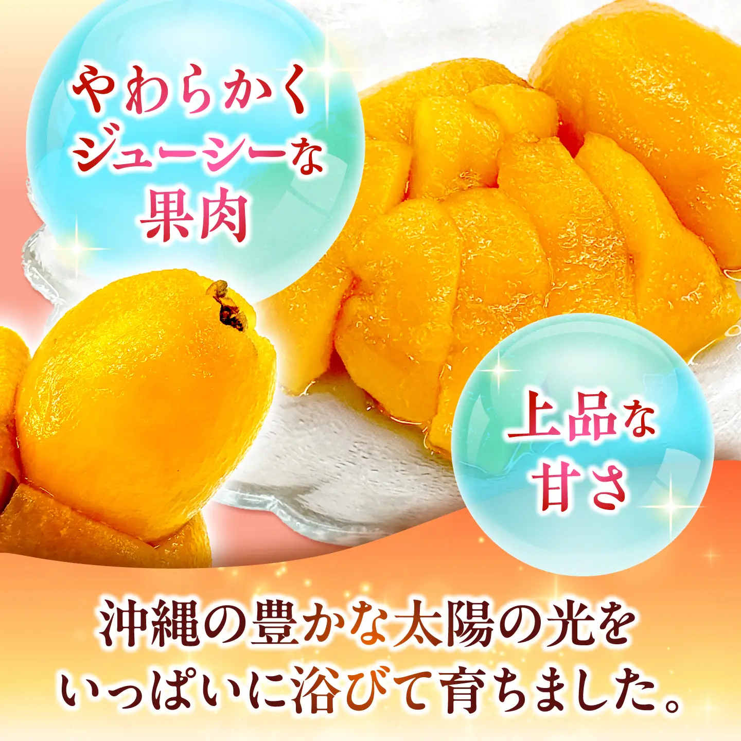 【2027年発送・先行受付】 【化粧箱入り】 沖縄産びわ (500g・9玉入り) フルーツ 果物 ギフト お取り寄せ 沖縄産 沖縄市 / ちゃんぷる～市場[BCAA008]