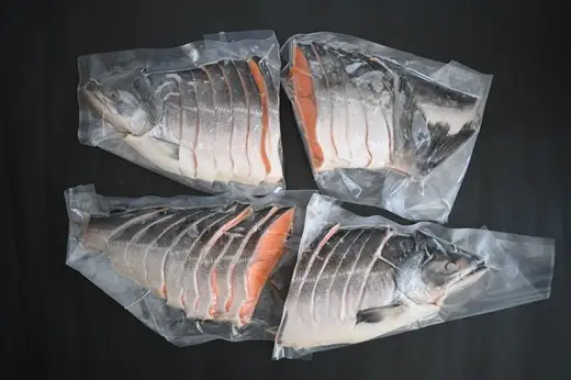 北海道日高産 船上活〆時鮭(ときしらず)甘塩仕立て 約3.0kg～3.5kg(4分割) [01-1632]