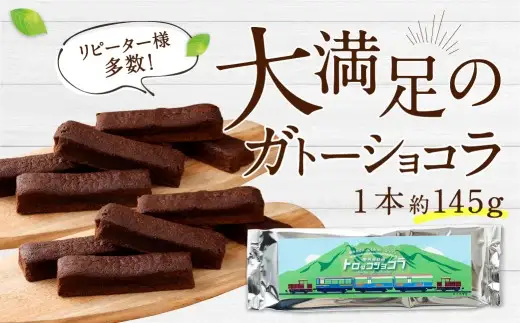 南阿蘇鉄道 トロッコショコラ 6本（約145g×6本）【2026年10月発送】菓子 お菓子 焼き菓子 チョコ風味 ショコラ ガトーショコラ 個包装 小分け