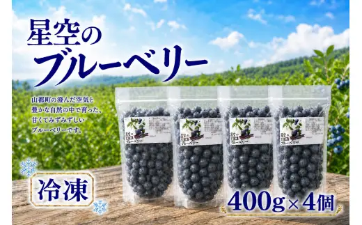 冷凍ブルーベリー （ 400g × 4個 ） ブルーベリー フルーツ 果物 くだもの ベリー デザート おやつ 冷凍