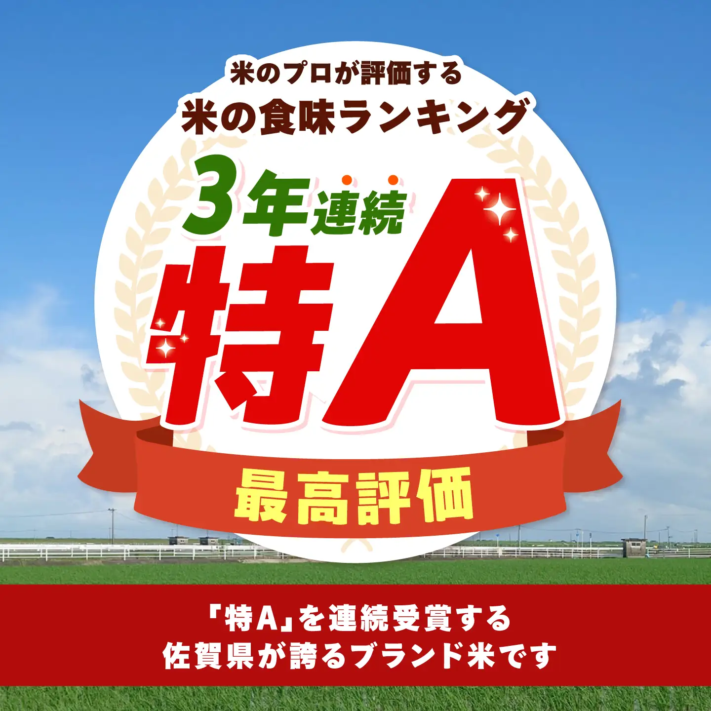 【先行予約】 令和8年産 夢しずく 精米 5kg 【佐賀県江北町産】 米 白米[HAF033]
