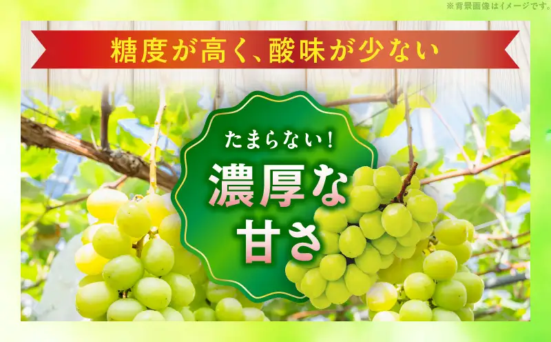 【8月31日（夏休み）までの期間限定価格!!】シャインマスカット　約1.9kg | シャインマスカット マスカット ぶどう ブドウ 葡萄 果物 フルーツ 期間限定 新鮮 くだもの 国産 ギフト お裾分け 旬 人気 種なし 皮ごと食べられる ジューシー 糖度が高い 先行受付 先行予約 季節限定 おすすめ 旬の果物 香川 香川県 三木町 |_ mk006-127
