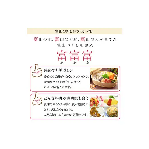 富山県ブランド米 富富富 無洗米 24kg ふふふ ブランド米 国産 米 お米 日本米 ギフト 贈り物 備蓄 防災 食品 陽咲玲 はるざれ F6T-1019