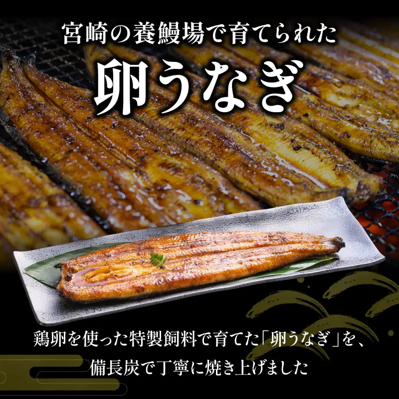 うなぎ 蒲焼 2尾 うなぎ[鰻 卵うなぎ 備長炭 計300g]
