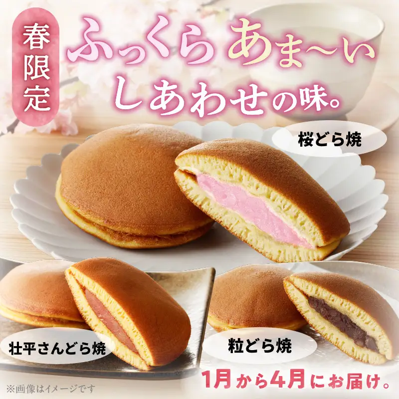 【訳あり】どら焼き 季節のセット（簡易包装） 訳あり どら焼き 季節のセット 簡易包装 春セット 夏セット 秋セット いずれか お届け 旬の味 セット お菓子 和菓子 茶菓子 スイーツ お取り寄せ お取り寄せスイーツ ゑびす屋商店 愛知県 小牧市 送料無料 ［009B24］