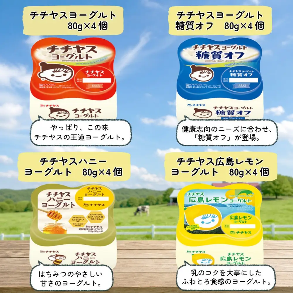 チチヤス ヨーグルト＆牛乳 10種プレミアムセット E