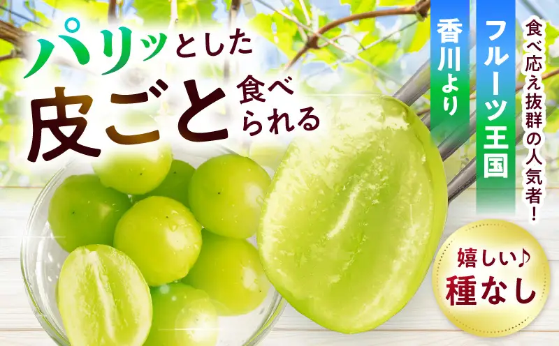 【8月31日（夏休み）までの期間限定価格!!】ご家庭用　シャインマスカット　約1.9kg | シャインマスカット マスカット ぶどう ブドウ 葡萄 果物 フルーツ 期間限定 新鮮 くだもの 国産 ギフト お裾分け 旬 人気 種なし 皮ごと食べられる ジューシー 糖度が高い 先行受付 先行予約 季節限定 おすすめ 旬の果物 香川 香川県 三木町 訳あり ご家庭用 |_mk006-129