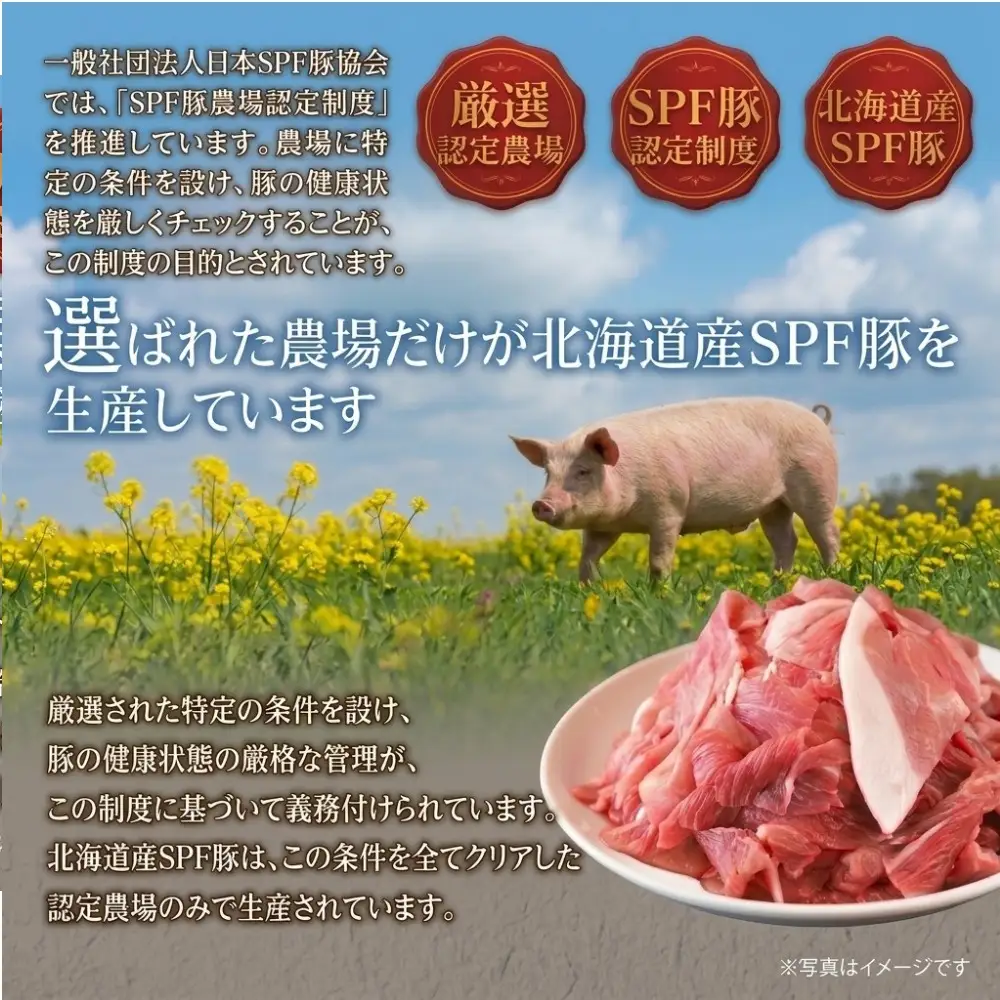 【ふるさと納税】北海道産 SPF豚 もも 切り落とし 4.62kg （770g×6袋） 【 機能性表示食品 】 豚肉 豚もも肉 小分け 大容量 冷凍 肉 お取り寄せ